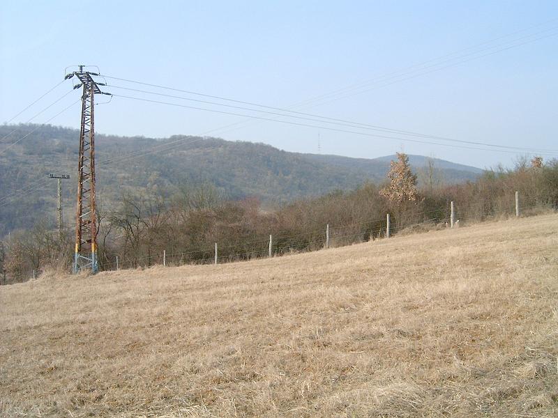 20110312 072.jpg